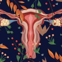 gebärmutter_warme_farben